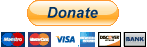 donate button