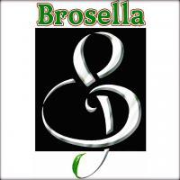 Brosella Folk & Jazz in Brussels, Belgium